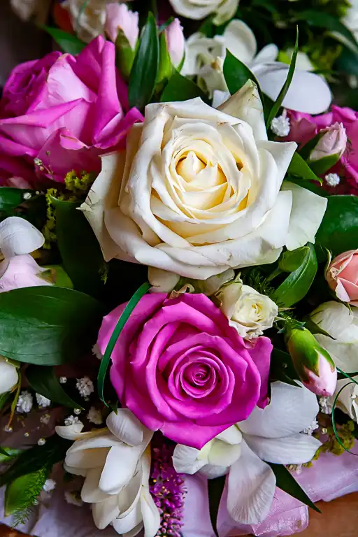 Wedding photography at Fanhams Hall, Ware