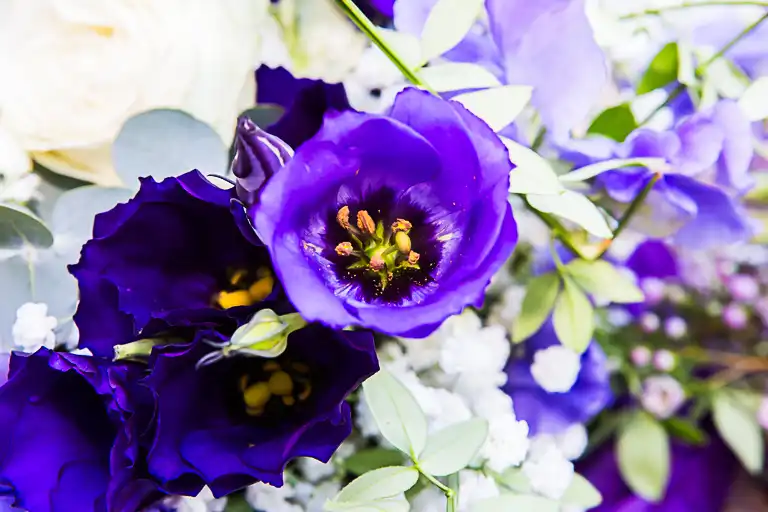 Wedding photography at Shenley Cricket Centre